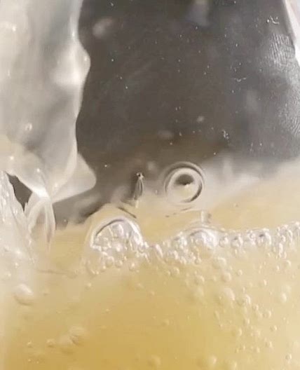 The ultimate ginger beer recipe