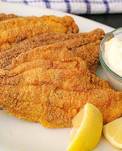 Southern Fried Catfish