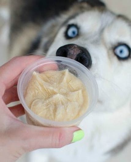 Pumpkin Peanut Butter Dog Ice Cream