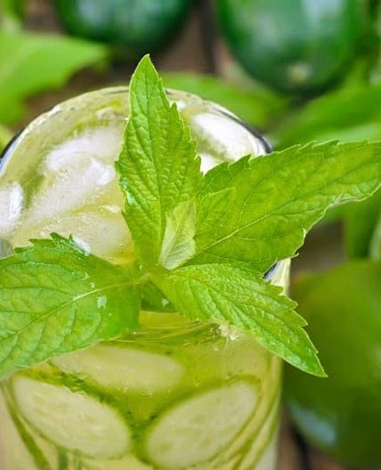 Copycat Starbucks Cool Lime Refresher