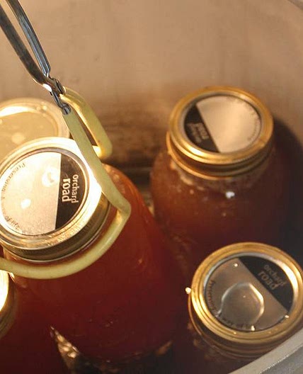 Canning Chicken Broth