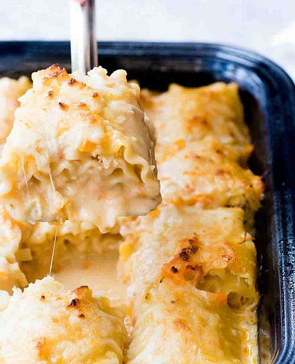 Easy Chicken Lasagna Roll Ups