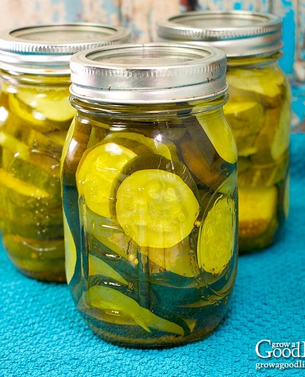 Sweet and Sour Zucchini Pickles