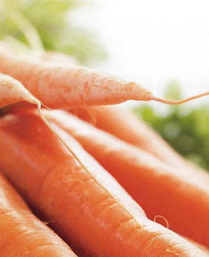 Gâteau aux carottes