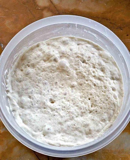 Italian Biga