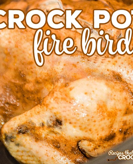 Crock Pot Fire Bird