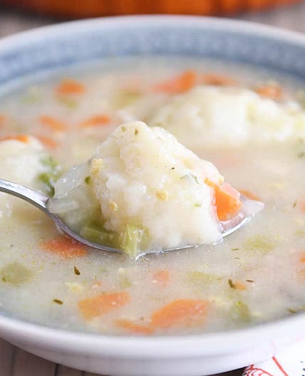 Chicken and Vegetable Dumpling Soup