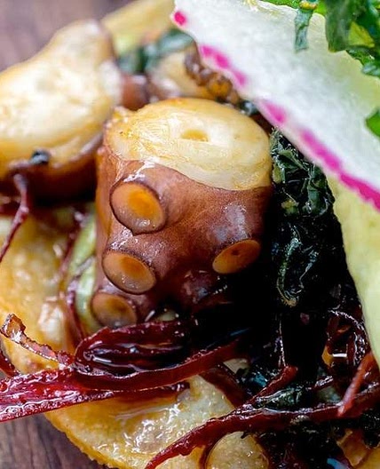 Grilled Octopus Tacos Recipe