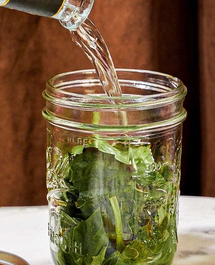 How to Make Basil Infused Vodka