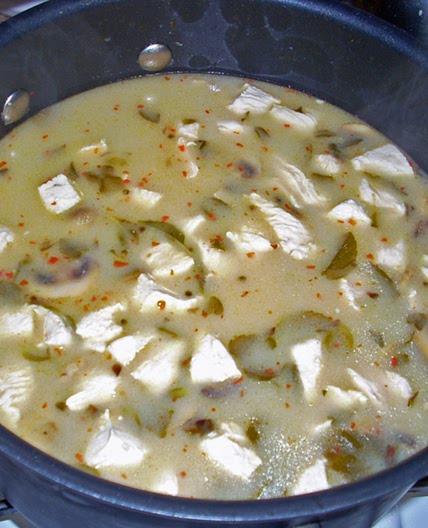 Thai Chicken and Coconut Soup (Cooking Light)