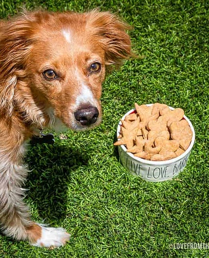 Peanut Butter Dog Treats