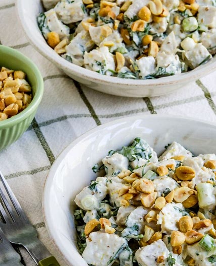 Spicy Chicken Salad with Ginger and Lemon