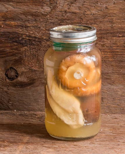 Brine Fermented Mushrooms