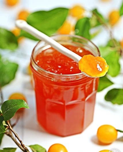 Mirabelle Plum Jam