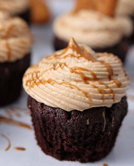 Devil's Food Chocolate Cupcakes with Speculoos Cookie Butter Frosting