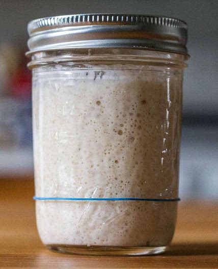 Sourdough Starter Recipe