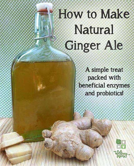 Homemade Ginger Ale Recipe