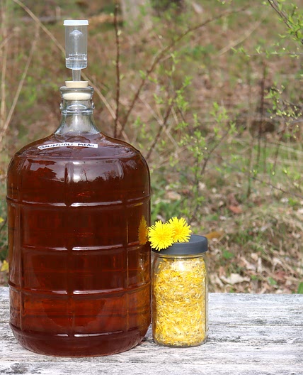 Dandelion Mead