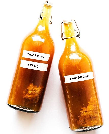 Home Brewed Pumpkin Kombucha