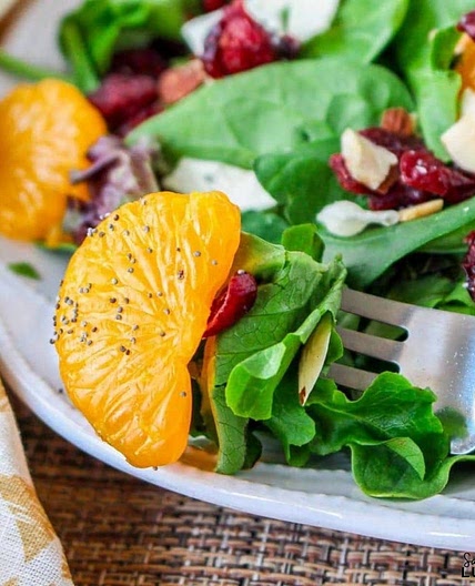 Cranberry and Mandarin Orange Salad with Orange Poppy Seed Dressing Recipe
