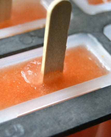 The Papaya Breeze Poptail