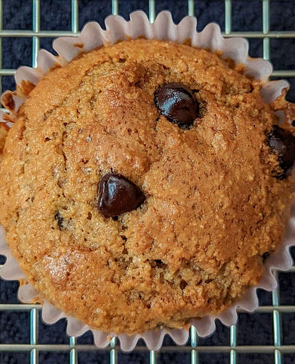 Chocolate Protein Muffins