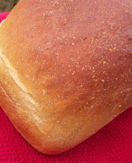 Belgian Molasses Bread