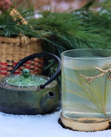 Pine Needle Tea