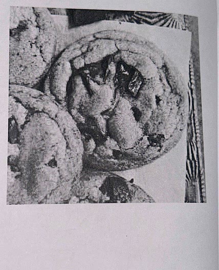 The Best Chocolate Chip Cookies Ever