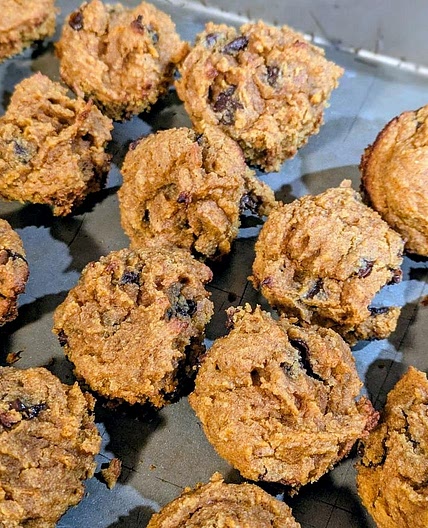 Pumpkin Chocolate Chip Mini Muffins