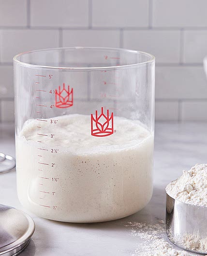 Sourdough Starter