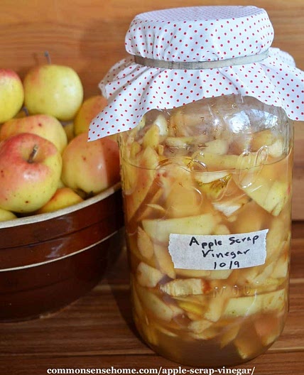 Apple Scrap Vinegar Recipe