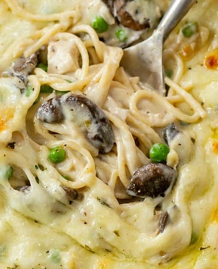 Chicken Tetrazzini