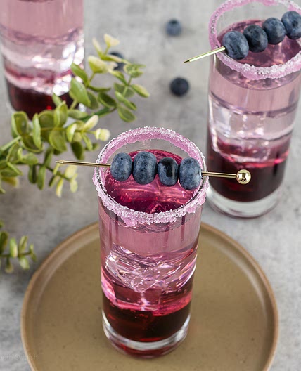 Blueberry Gin Cocktail
