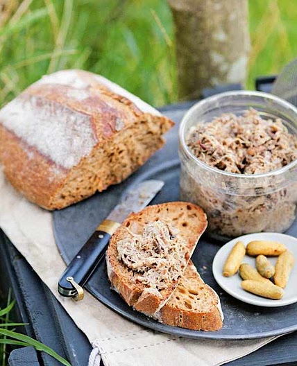 Rillettes de porc et de canard