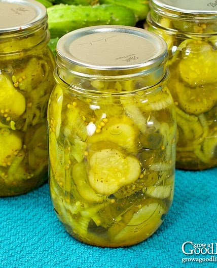 Granny's Bread and Butter Pickles Recipe