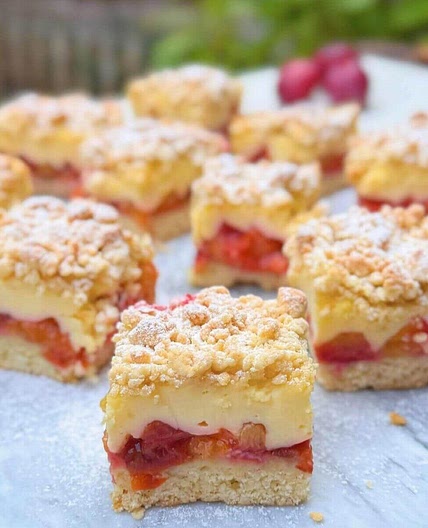 Old-fashioned plum cake with vanilla pudding