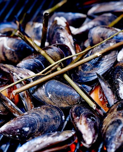 Moules au barbecue
