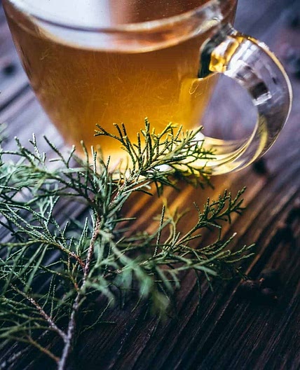 Juniper Berry Tea Recipe