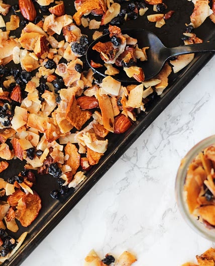Grain Free Blueberry Coconut Granola (Paleo & AIP)