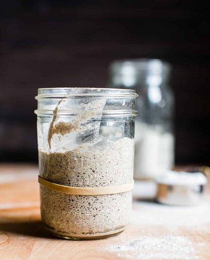 Gluten Free Sourdough Starter