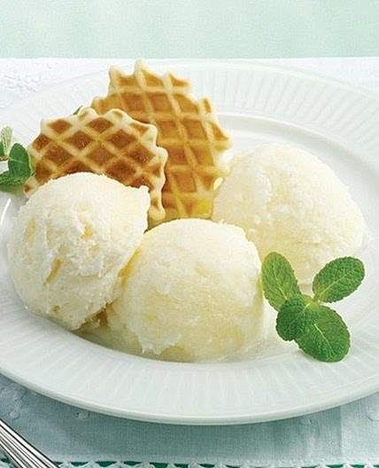 오렌지 소르베 만드는 법