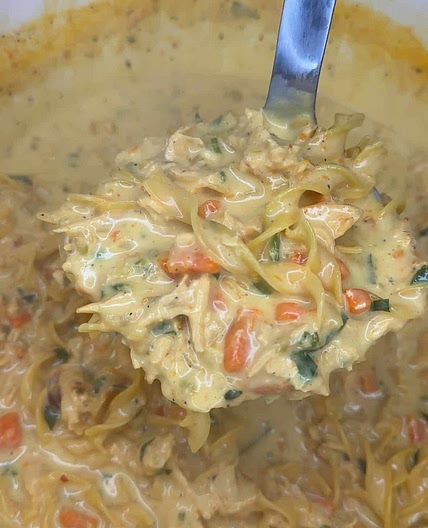 Creamy Chicken Noodle Soup 🍲