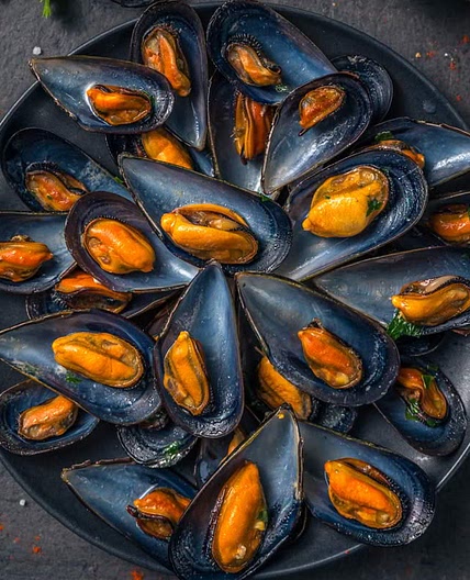 Mussels in White Wine Sauce