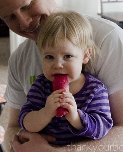 Homemade Yogurt Fruit Leather