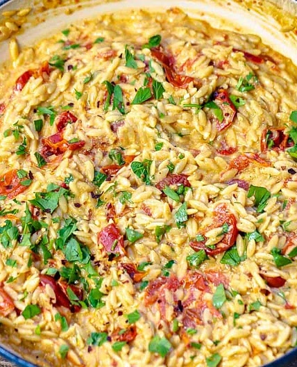 Creamy Orzo with Garlic, Parmesan, and Blistered Tomatoes