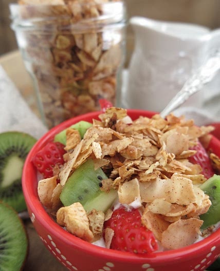 Vanilla and Cinnamon Breakfast Granola (Paleo - AIP - Sugar Free)