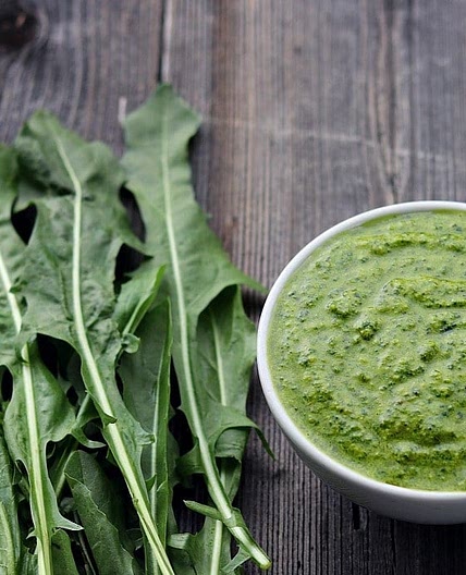 Dandelion Pesto