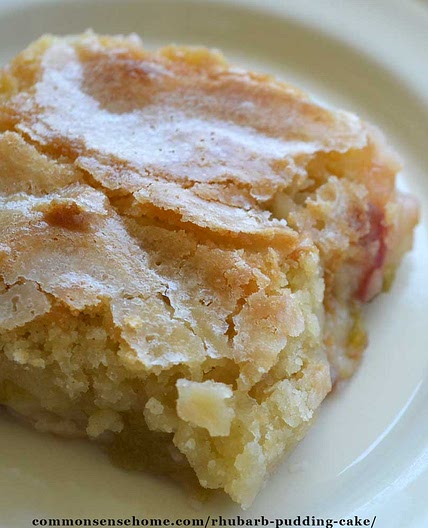 Old Fashioned Rhubarb Pudding Cake