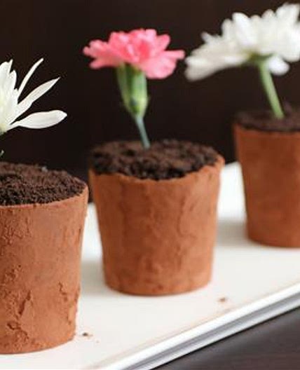Flower Pot Dessert Recipe